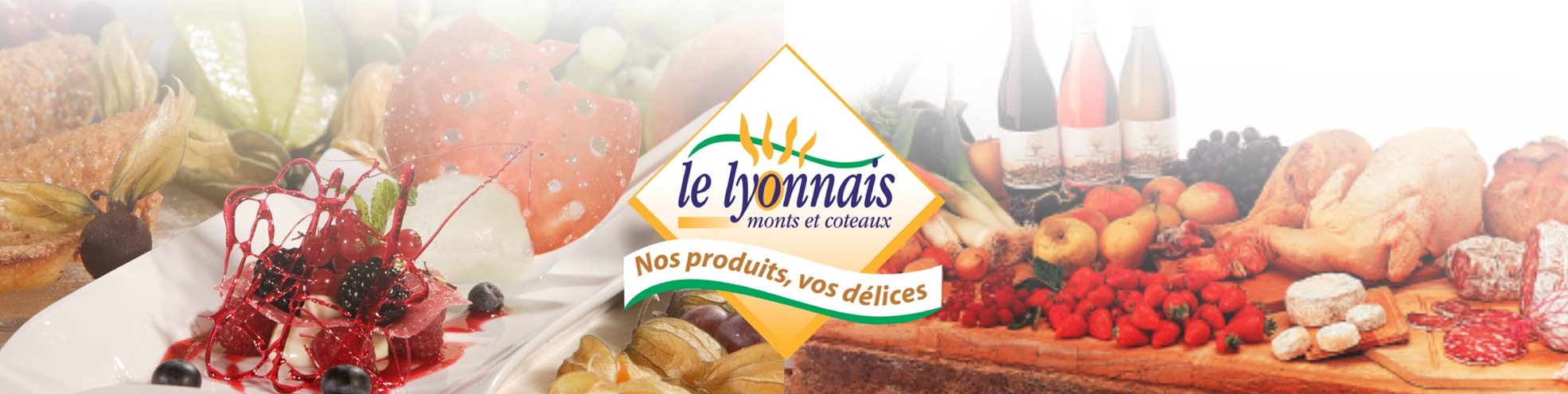 Bandeau Monts et Coteaux du Lyonnais