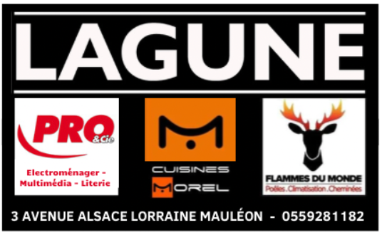LAGUNE-logo