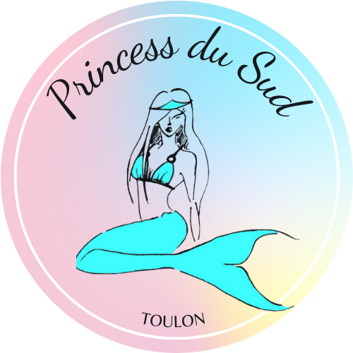 Logo Princess du Sud