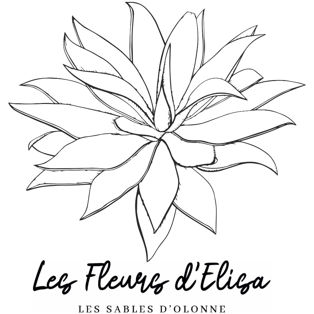 Logo Les Fleurs d'Elisa