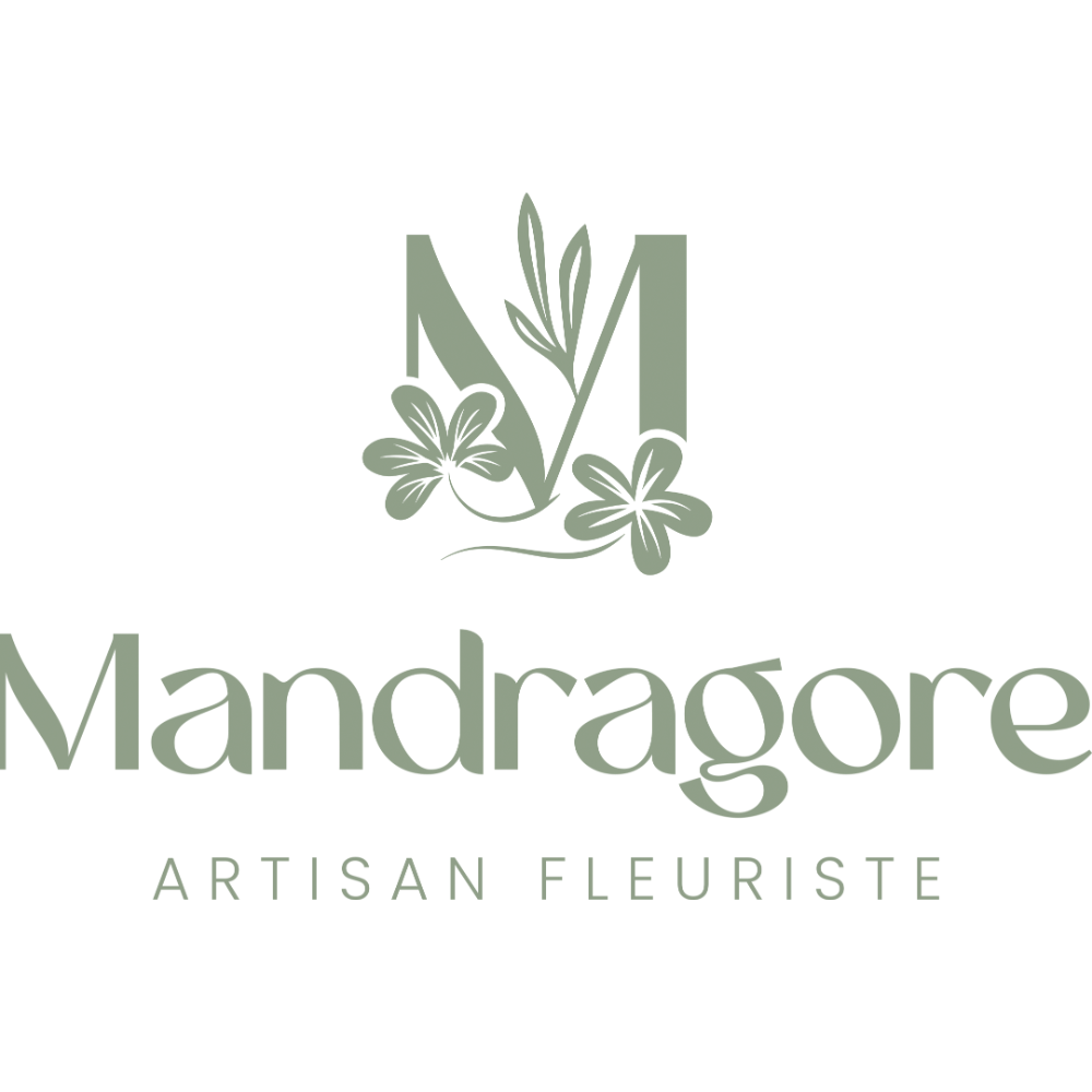 Logo Mandragore