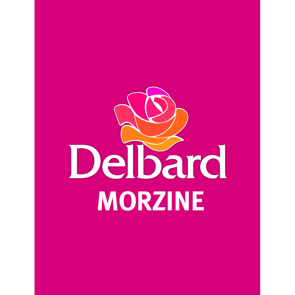 Logo Delbard