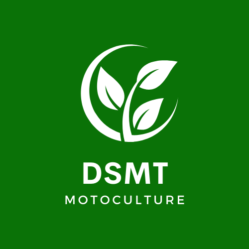 Logo DSMT