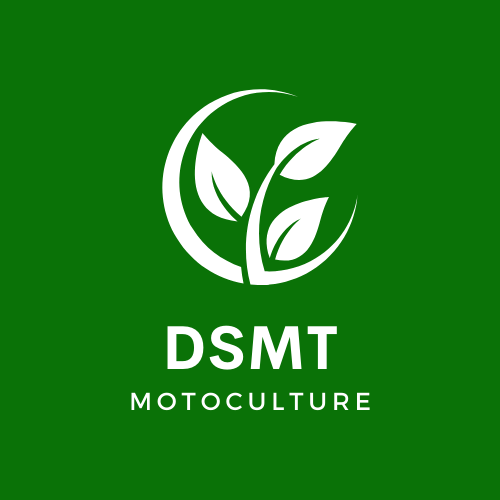 DSMT