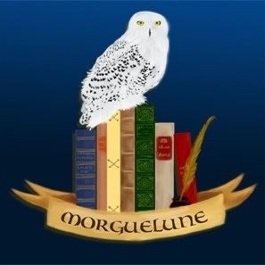 Logo Librairie Morguelune