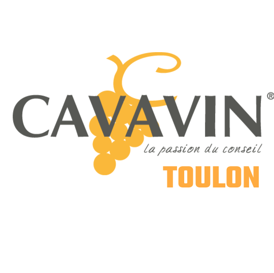 Logo Cavavin