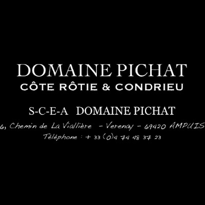 Logo Marque Domaine Pichat